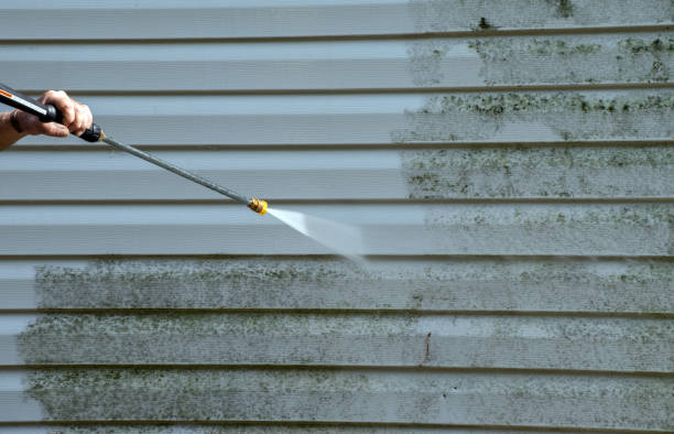 Best Residential Mold Removal  in Minier, IL