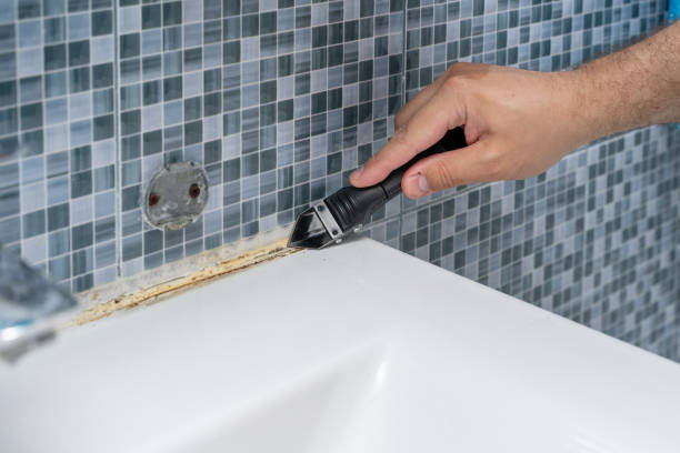 Best Office Mold Removal Services  in Minier, IL